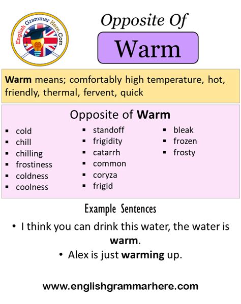 warmly antonyms|opposite of getting warm.